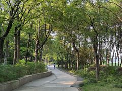 -长广溪湿地公园