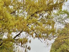 -蜀冈西峰生态公园