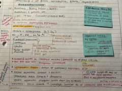 -JT PREP国际学科课程·IB·AP·Alevel(陆家嘴校区)