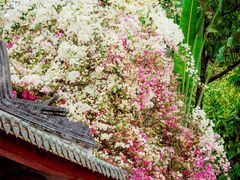 -深圳国际园林花卉博览园