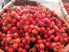 -樱桃山旅游景区