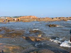 -八大关景区