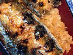 -料亭菊水楼
