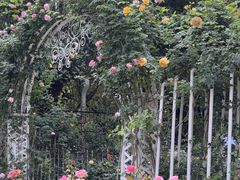 -人民公园(罗湖区)