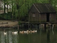 小木屋-上海华凯华美达广场酒店