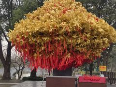 -狼山风景名胜区