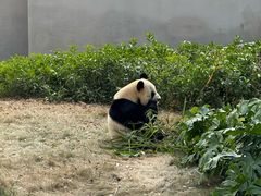 -柳州市动物园