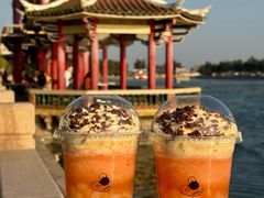 -一树一叶·福建茶档(石鼓路店)