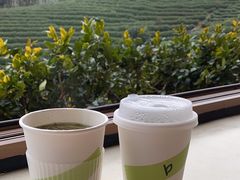 -白茶原·一片叶子