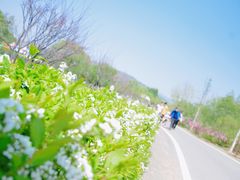 -大连铭湖国际观光牧场