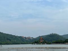 -顺峰山公园