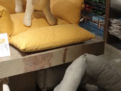 -MUJI无印良品(顺城店)