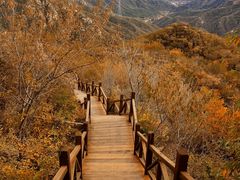 -大岭沟猕猴桃谷风景区
