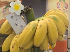 -西藏饭店·亚克·食光自助餐厅(文殊院店)