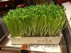 -捞神煲汤火锅(湖滨商业街店)