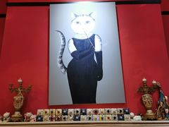 -猫色咖啡·猫咖