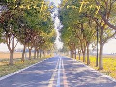 -小陆莲花蟹园农家乐(莲花岛店)