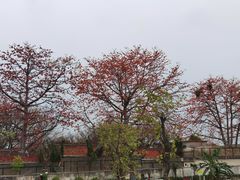 -喜洲吧·江畔老船厂·庭院餐厅(喜临院店)
