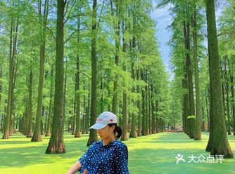 恋恋笔记本之扬州水上森林