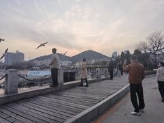 -黑石礁公园