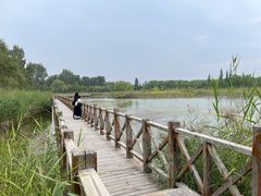 -野鸭湖国家湿地公园