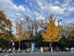 -杭州半山国家森林公园