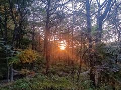 -崂山九水游览区