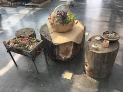 -北马山庄植趣咖啡