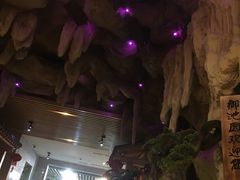-御池园(顾村公园店)