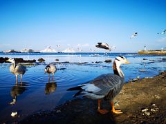 -青海湖二郎剑景区
