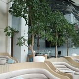 尽显建筑之美｜Intercontinental 重庆洲际