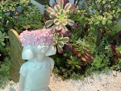 -春树下·树屋花房西餐厅(罍街AS1980店)