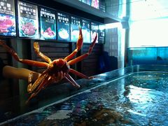 -蟹之国·精品蟹料理(极地店)