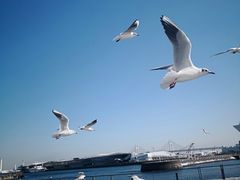 -横滨红砖仓库1号馆