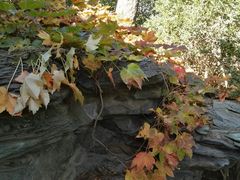 -香山公园