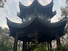 -上海市保健医疗中心