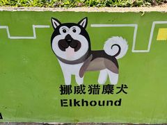 -景田北六街公园宠物主题园