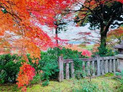 -常寂光寺