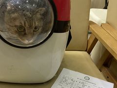 -瑞派康怡24h宠物医院·犬猫医疗中心·微创绝育(瑞景分院)