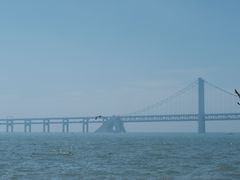 -星海广场