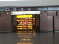 -故宫礼物(北京大兴国际机场店)