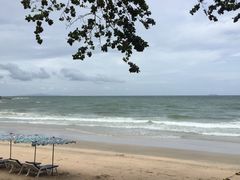 -卷心菜和避孕套餐厅(Pattaya)