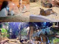 -正佳雨林生态植物园