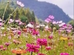 -花溪公园