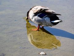 -太阳宫公园