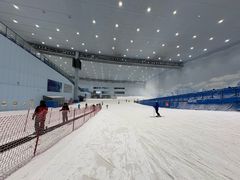 -哈尔滨热雪奇迹