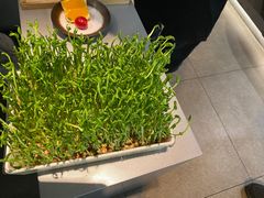 -湊湊火锅·茶憩(南京万象天地店)