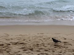 -海云台海滩