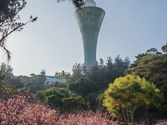 -狐尾山公园