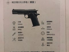 -真枪会射击俱乐部(河西中央公园店)
